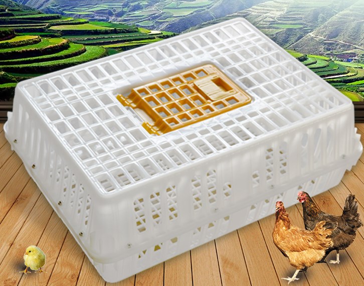 活鸡鸭运输专用塑料鸡笼带盖子方便拿取加厚鸡笼量大价格更优惠